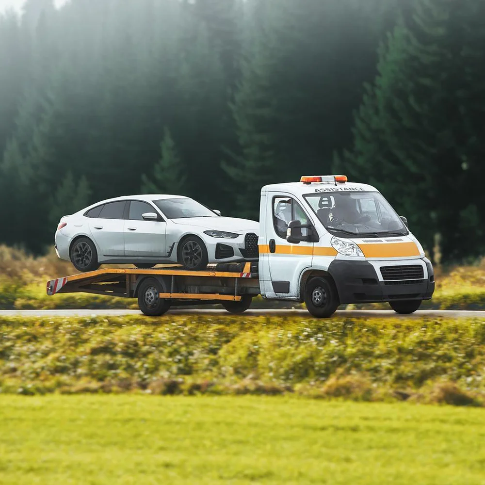 wmremove-transformed-4